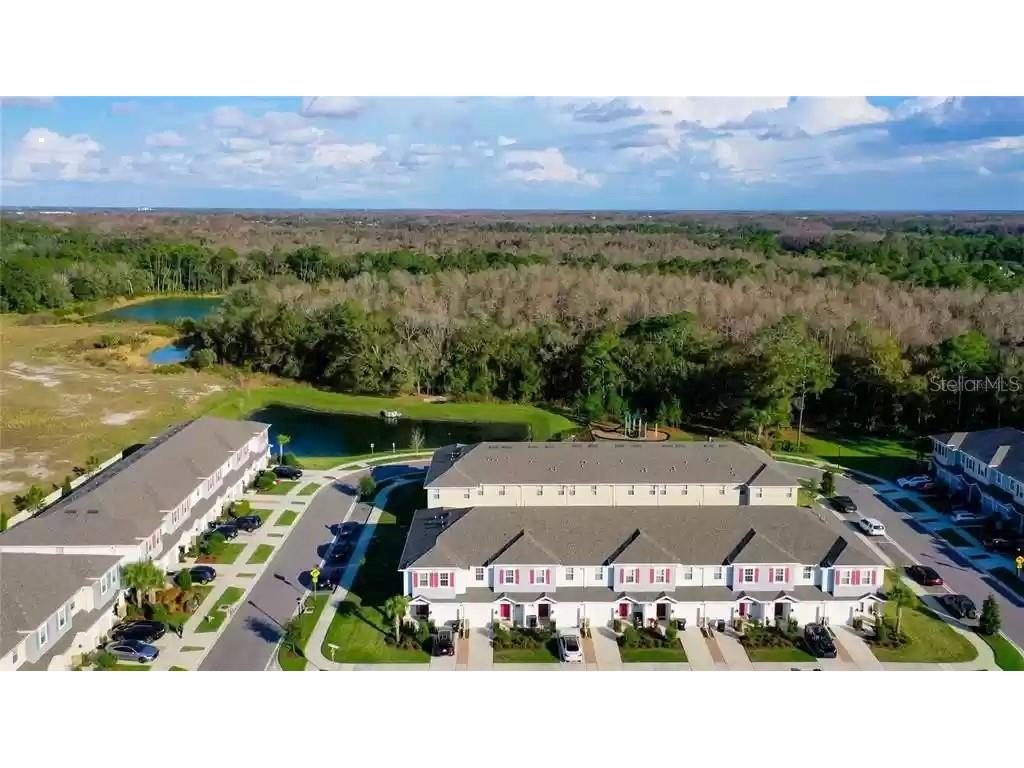 1074 Amber Leaf Trail Wesley Chapel FL 33544 TB8504577 image32