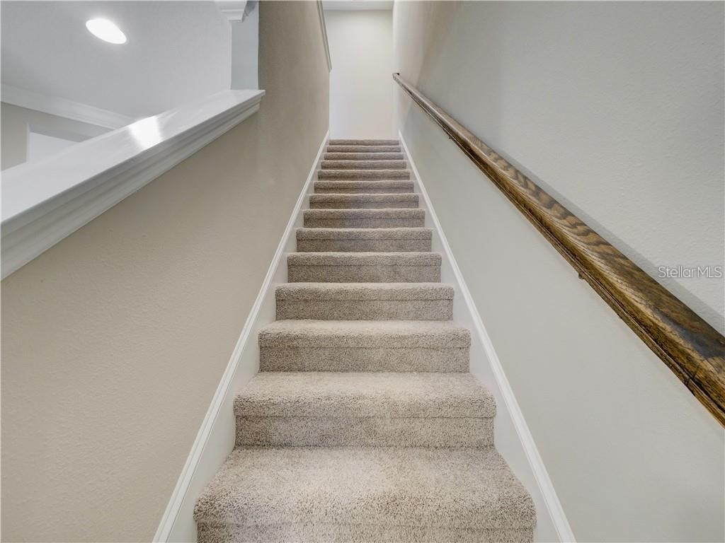 1074 Amber Leaf Trail Wesley Chapel FL 33544 TB8504577 image9