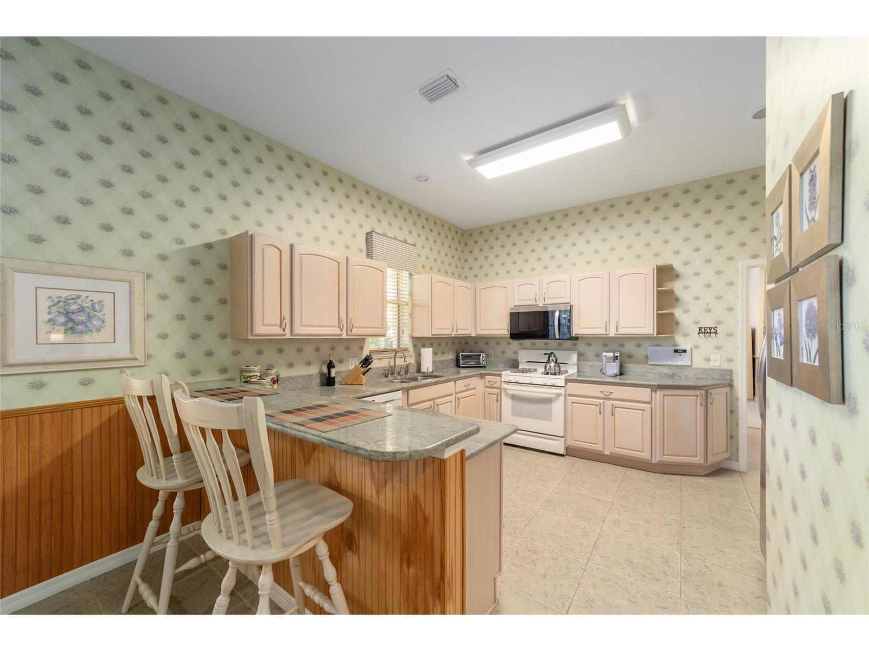 1074 Avenida Sonoma Lady Lake FL 32159 G5112559 image16