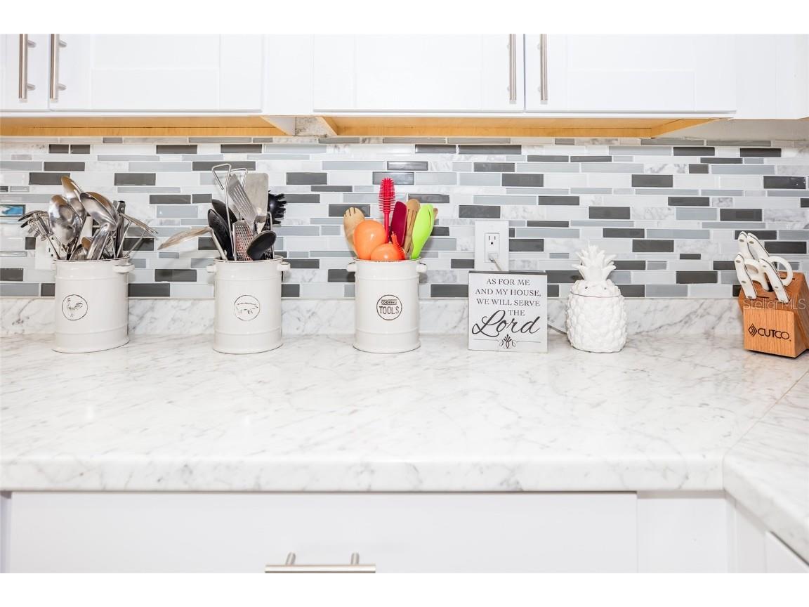 1074 Berkeley Drive Kissimmee FL 34744 L4950452 image26