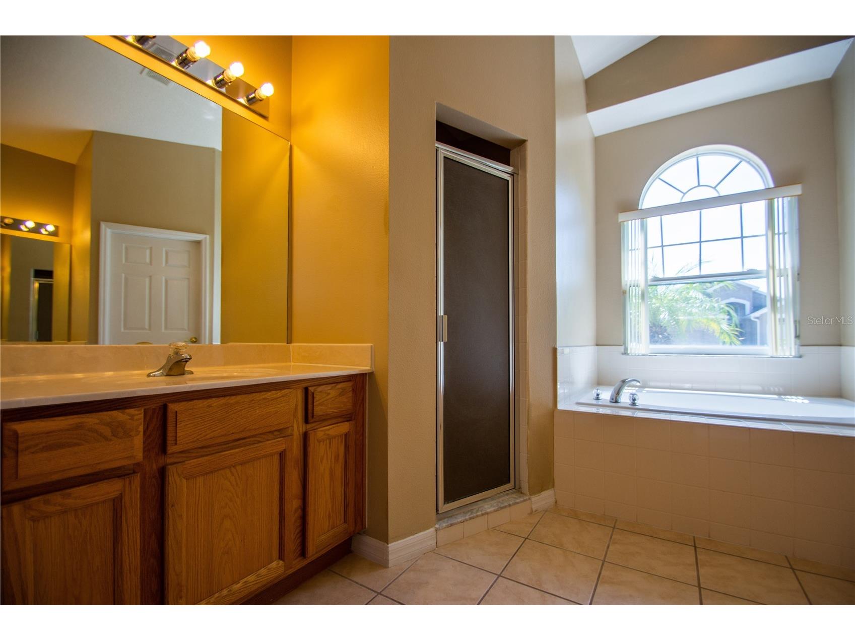 1074 Corvina Drive Davenport FL 33897 O6359388 image25