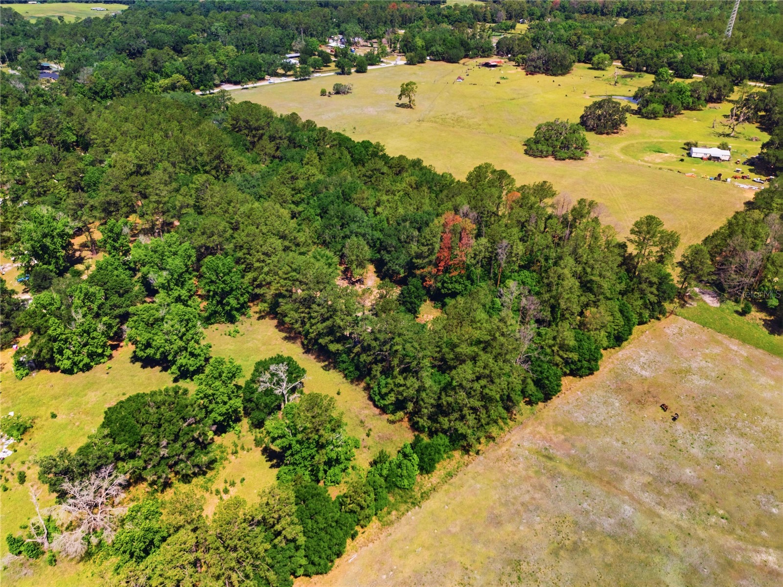 1074 Culbreath Road Brooksville FL 34602 W7885736 image13