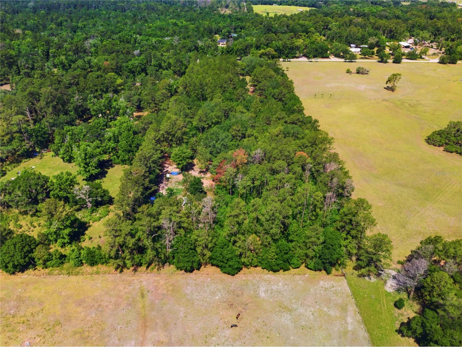 1074 Culbreath Road Brooksville FL 34602 W7885736 image14