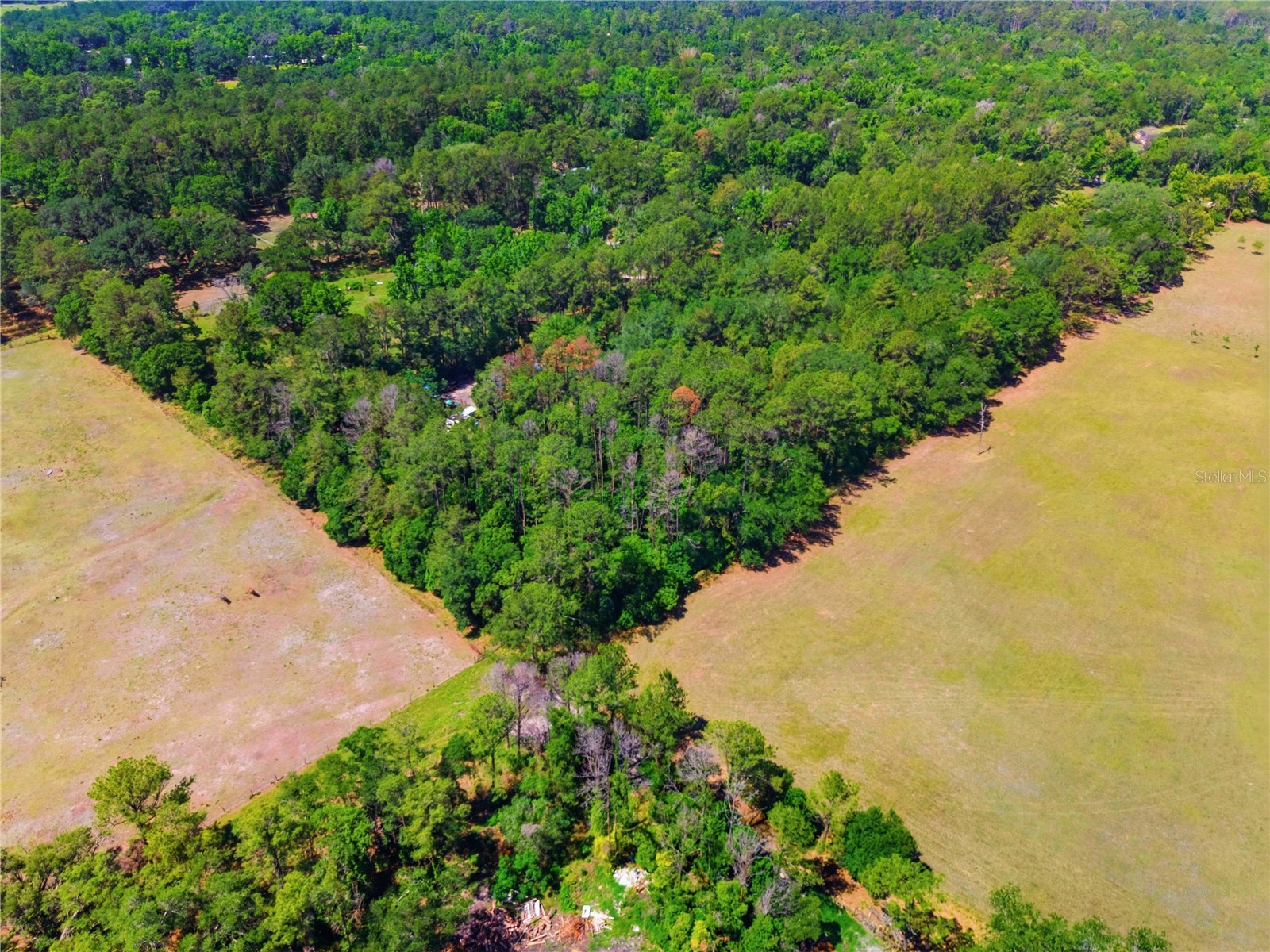 1074 Culbreath Road Brooksville FL 34602 W7885736 image15