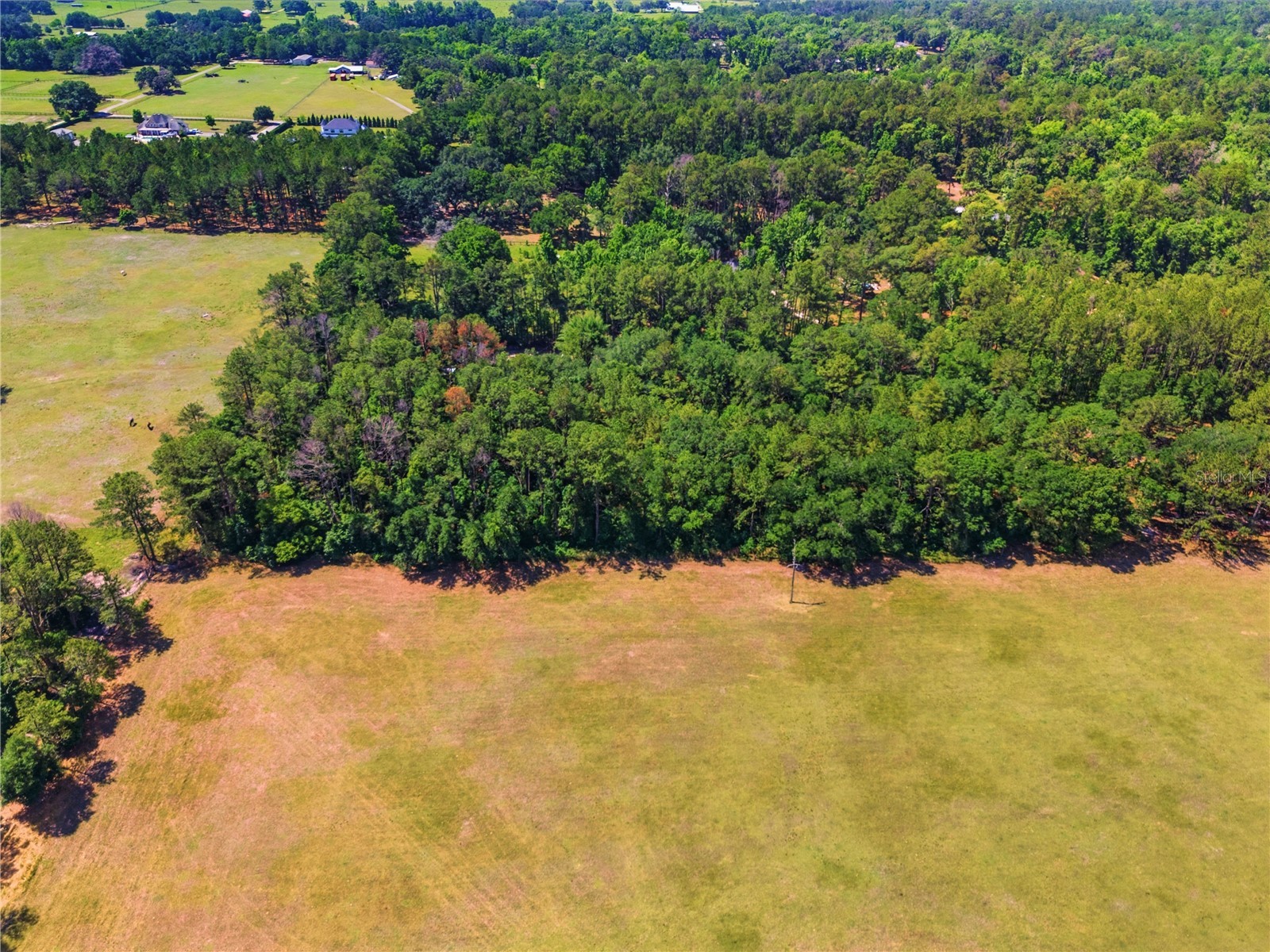 1074 Culbreath Road Brooksville FL 34602 W7885736 image16