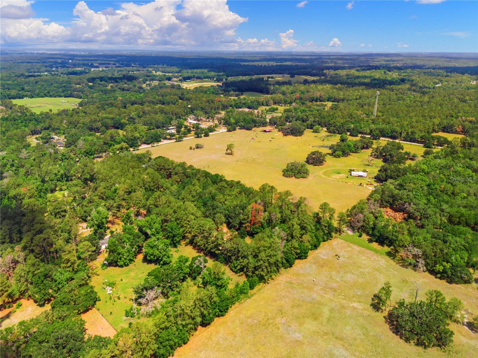 1074 Culbreath Road Brooksville FL 34602 W7885736 image19