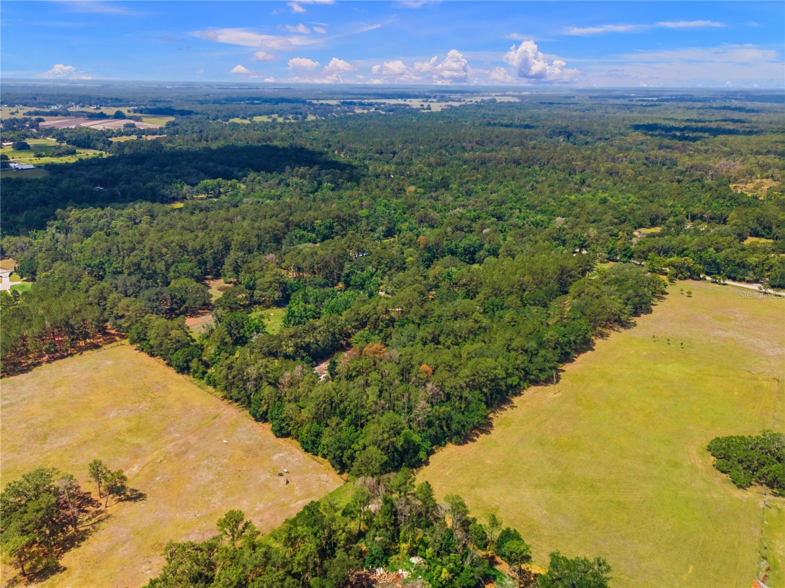 1074 Culbreath Road Brooksville FL 34602 W7885736 image20