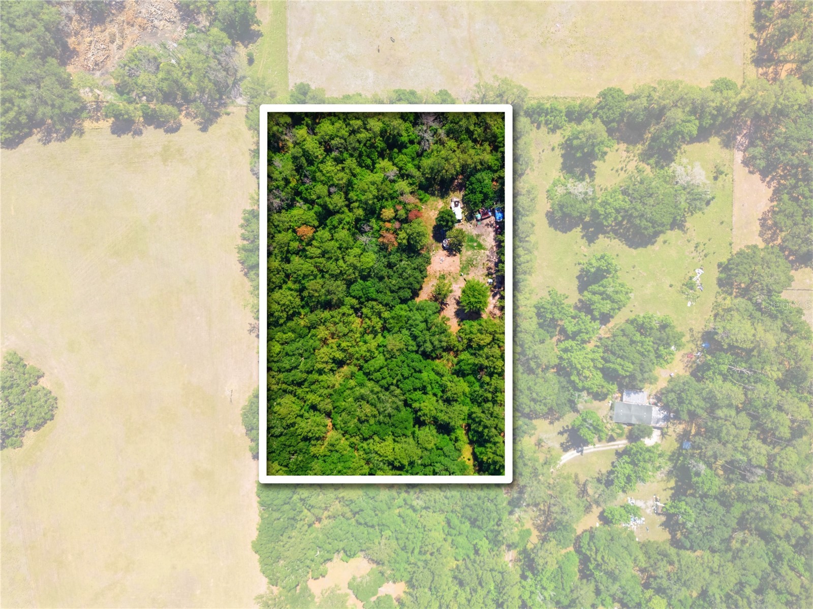 1074 Culbreath Road Brooksville FL 34602 W7885736 image3