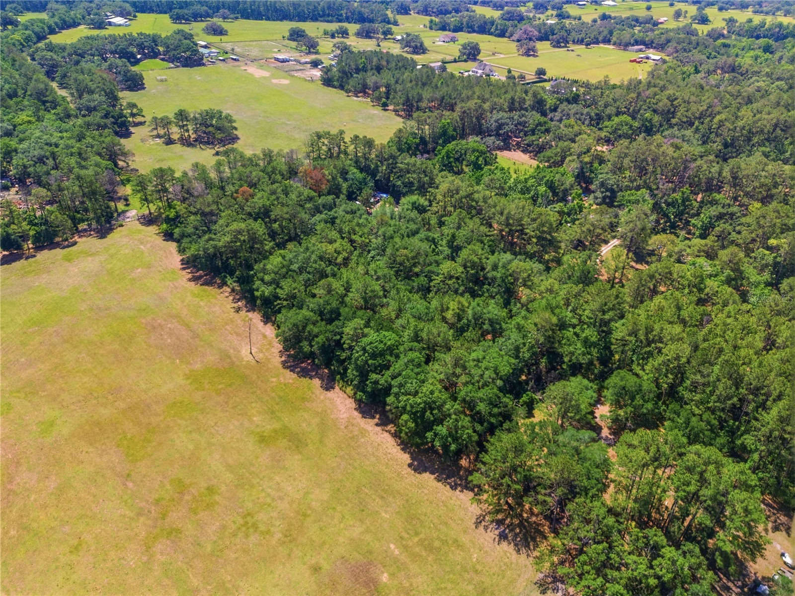1074 Culbreath Road Brooksville FL 34602 W7885736 image6