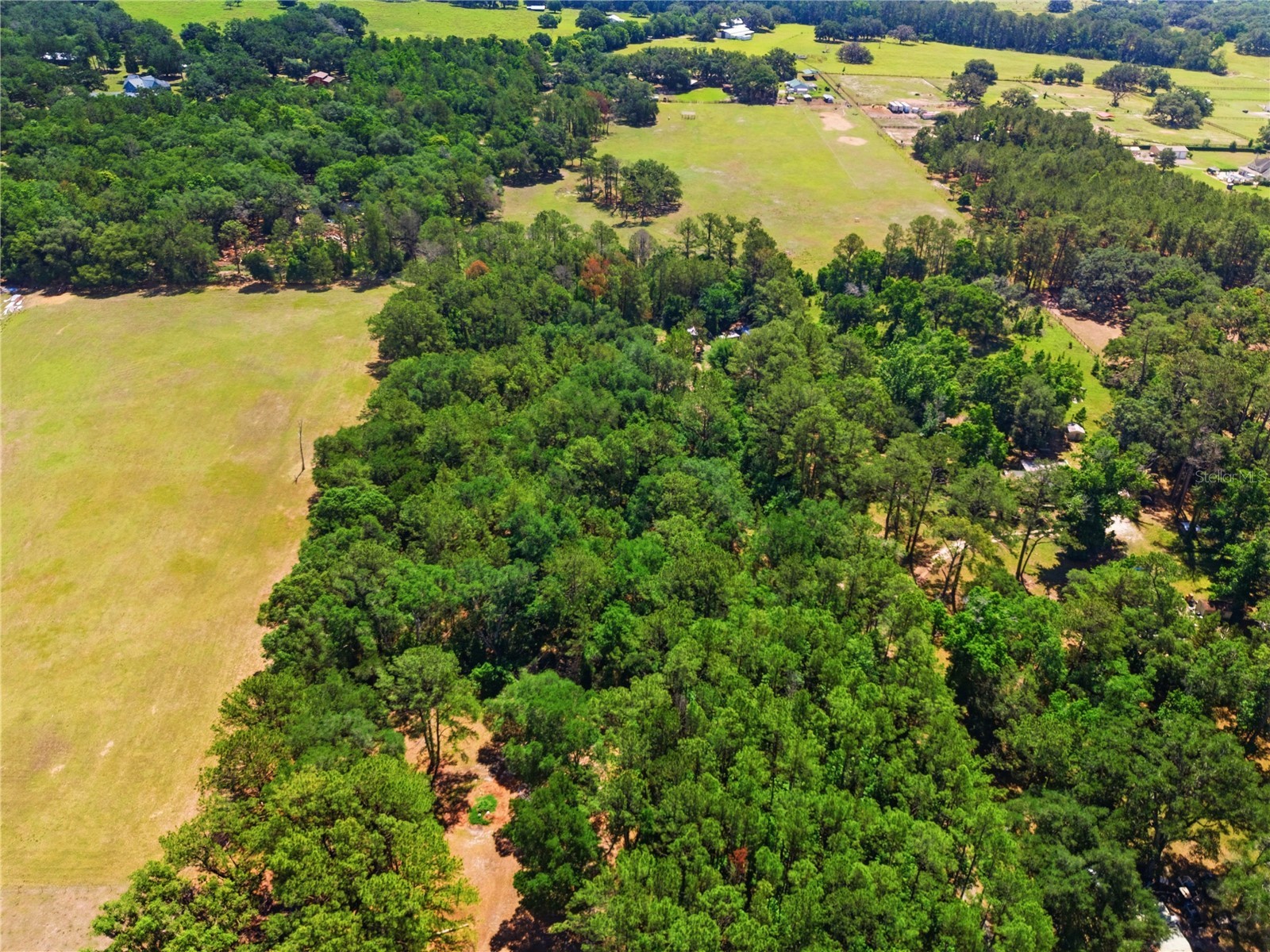 1074 Culbreath Road Brooksville FL 34602 W7885736 image7