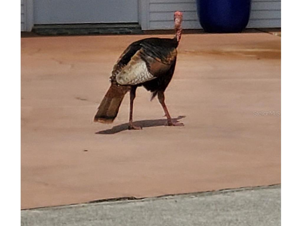 1074 Front Street #51 Welaka FL 32193 G5103756 image13