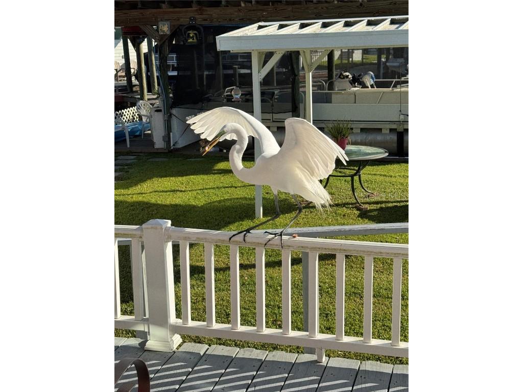 1074 Front Street #51 Welaka FL 32193 G5103756 image14