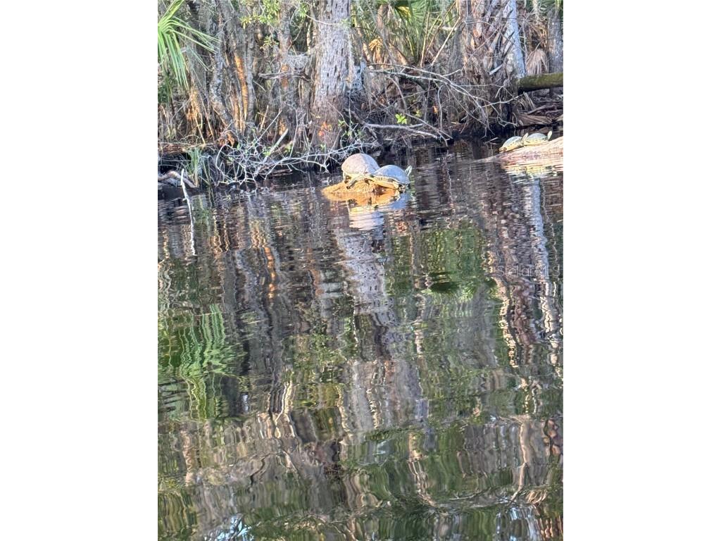 1074 Front Street #51 Welaka FL 32193 G5103756 image15