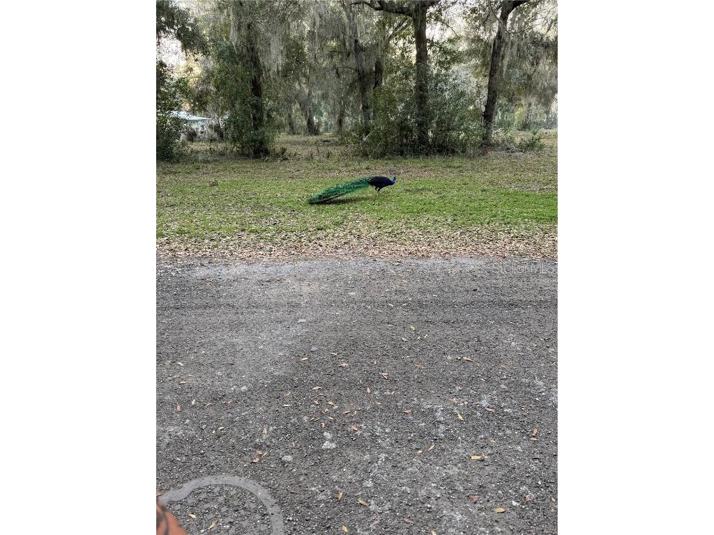 1074 Front Street #51 Welaka FL 32193 G5103756 image16