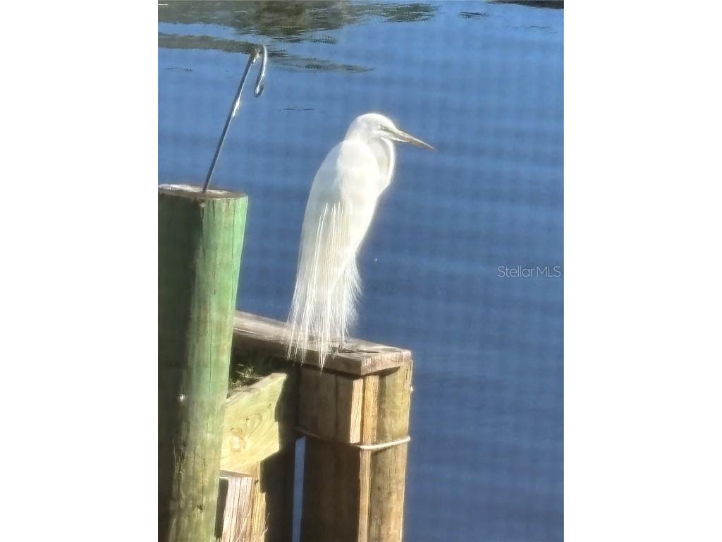 1074 Front Street #51 Welaka FL 32193 G5103756 image17