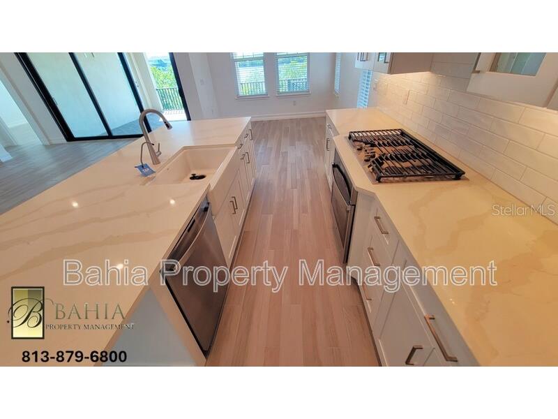 1074 Seagrape Drive Ruskin FL 33570 O6415434 image14