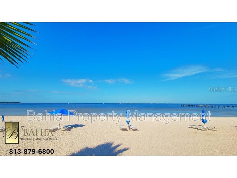 1074 Seagrape Drive Ruskin FL 33570 O6415434 image49