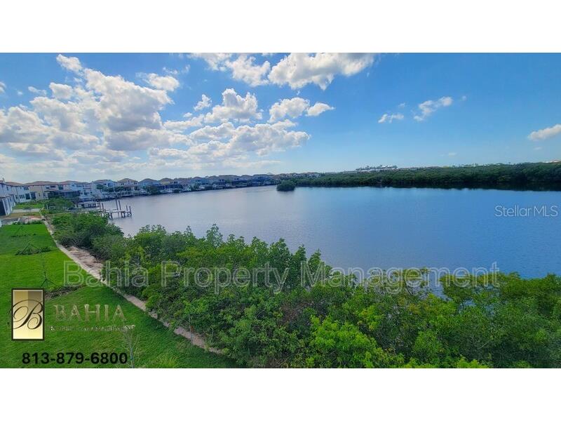 1074 Seagrape Drive Ruskin FL 33570 O6415434 image56