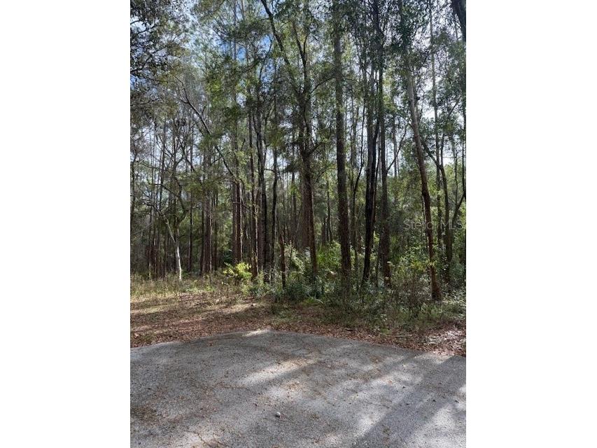 1074 W Legion Court Hernando FL 34442 G5106269 image2