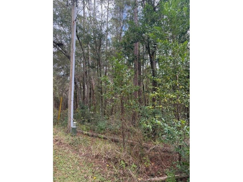 1074 W Legion Court Hernando FL 34442 G5106269 image3