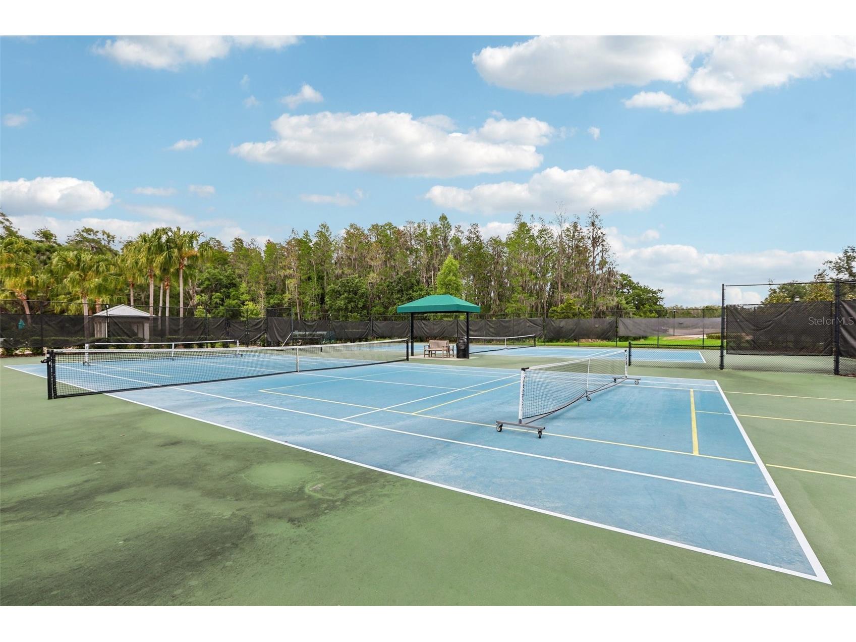 10740 Pleasant Knoll Drive Tampa FL 33647 TB8494605 image36