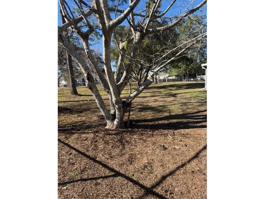 10740 SW 62nd Avenue Road Ocala FL 34476 OM716865 image18