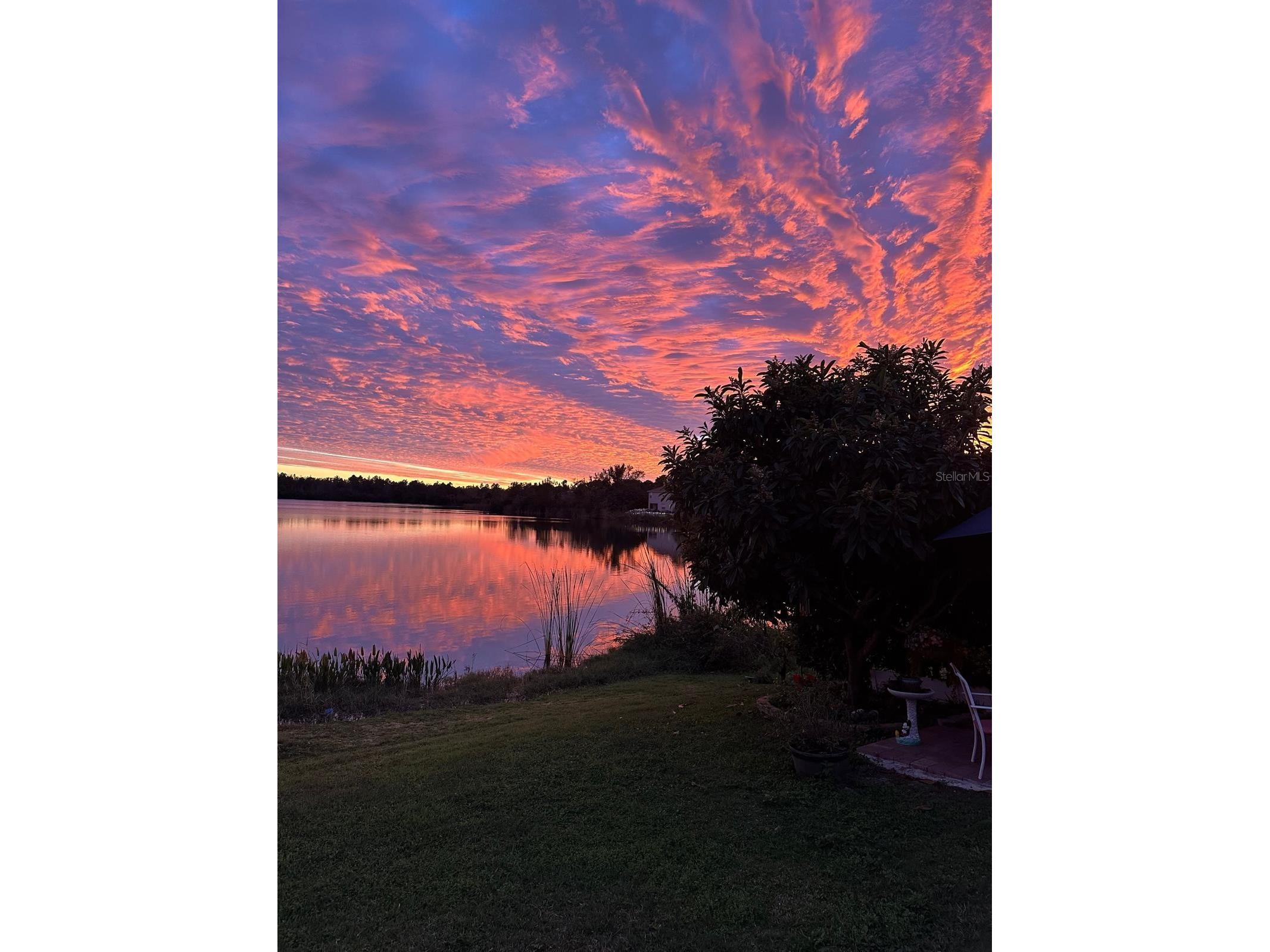 10742 Derringer Drive Orlando FL 32829 - WATERSIDE O6377541 image2