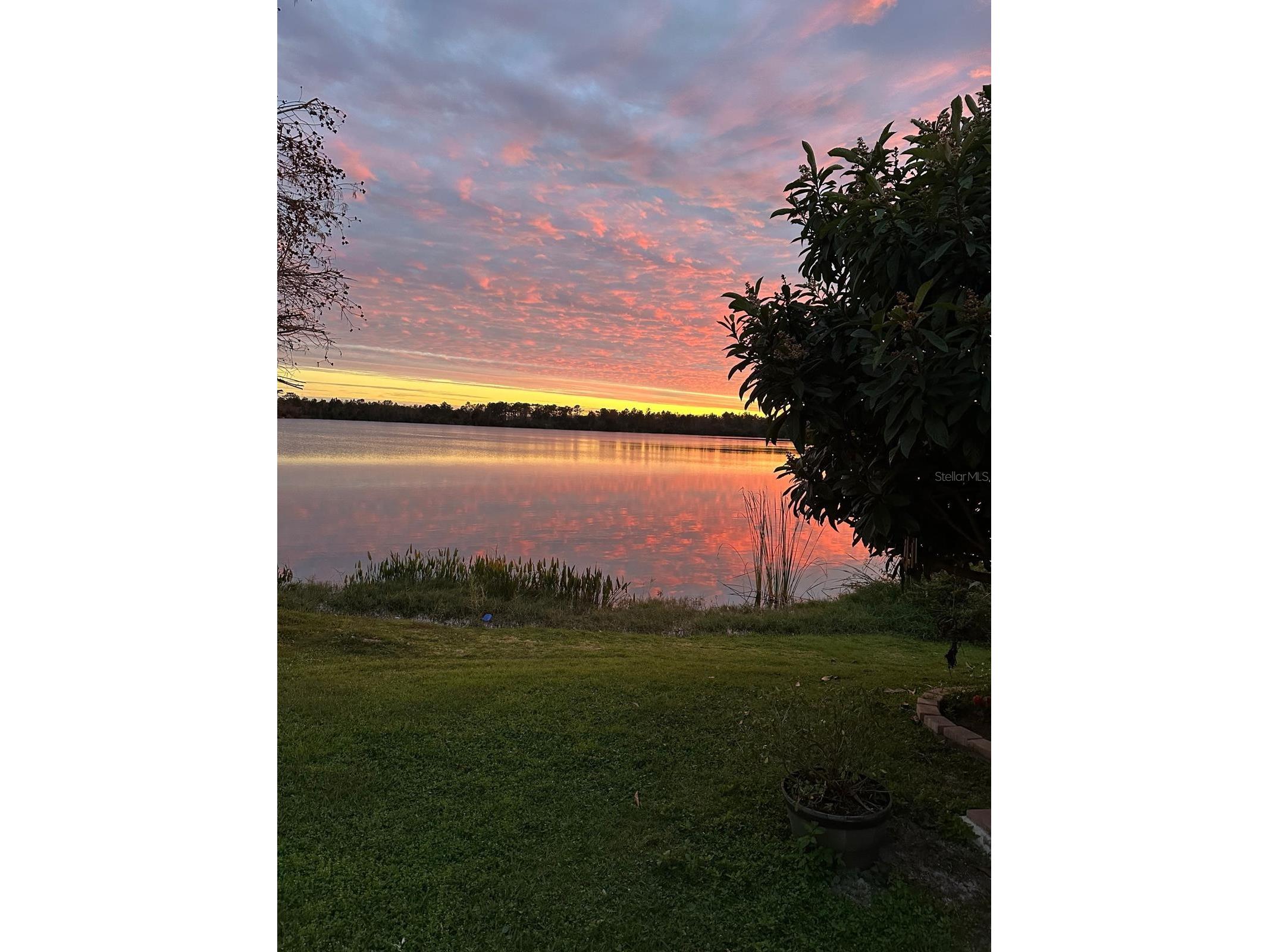 10742 Derringer Drive Orlando FL 32829 - WATERSIDE O6377541 image3