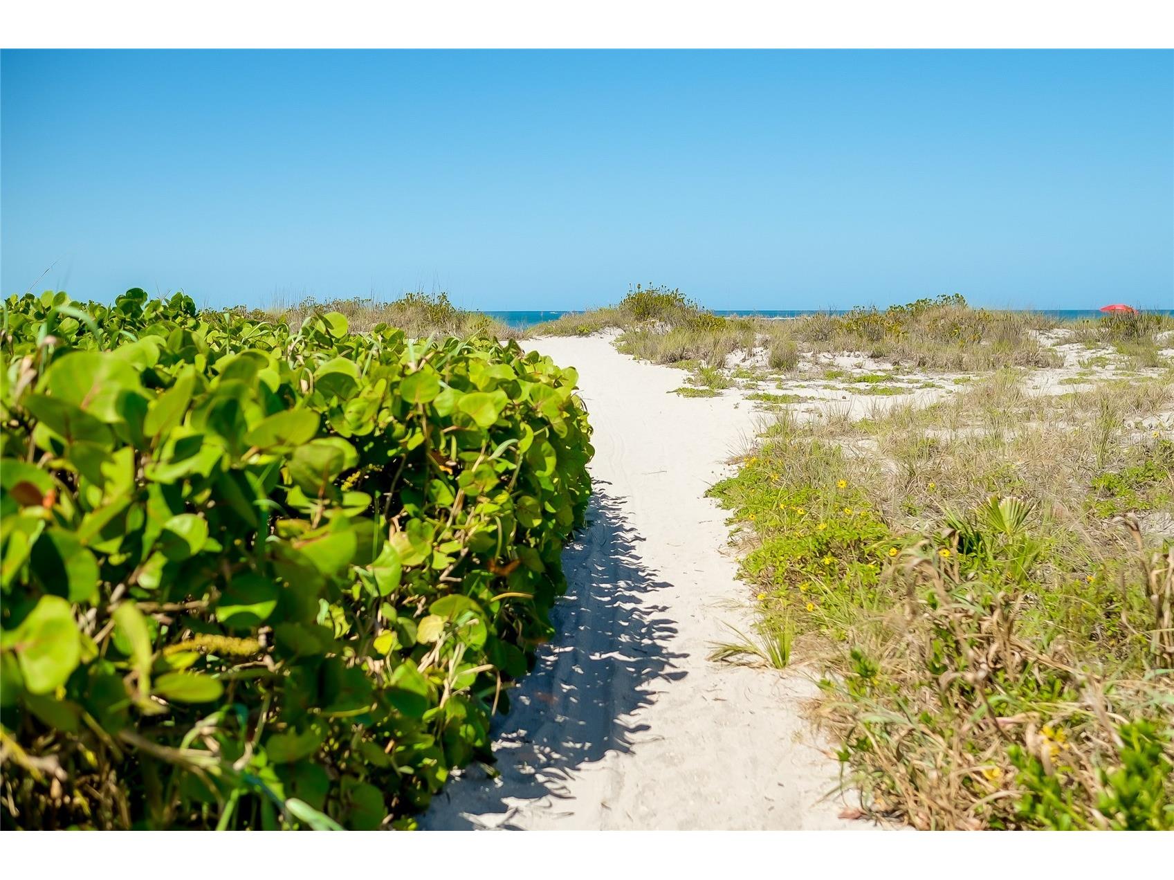 10742 Ironbridge Drive Venice FL 34293 N6142421 image93