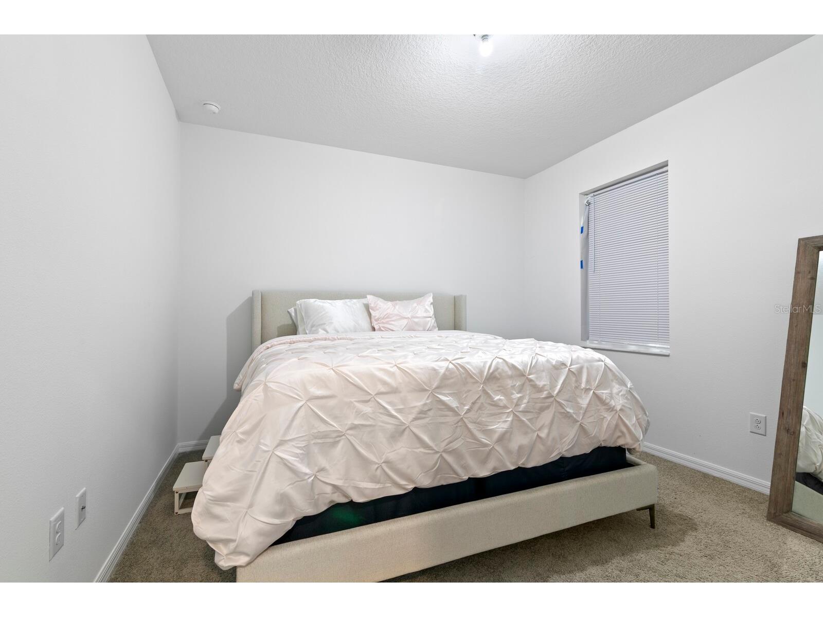 10742 New Morning Drive Tampa FL 33647 TB8524323 image16