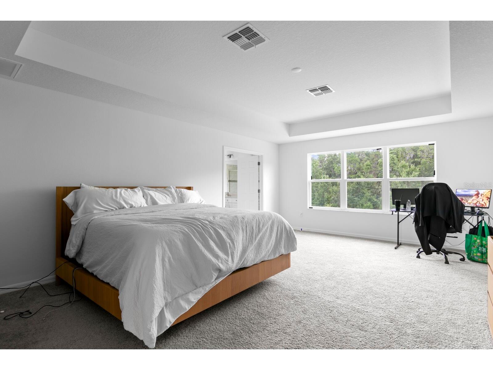 10742 New Morning Drive Tampa FL 33647 TB8524323 image23