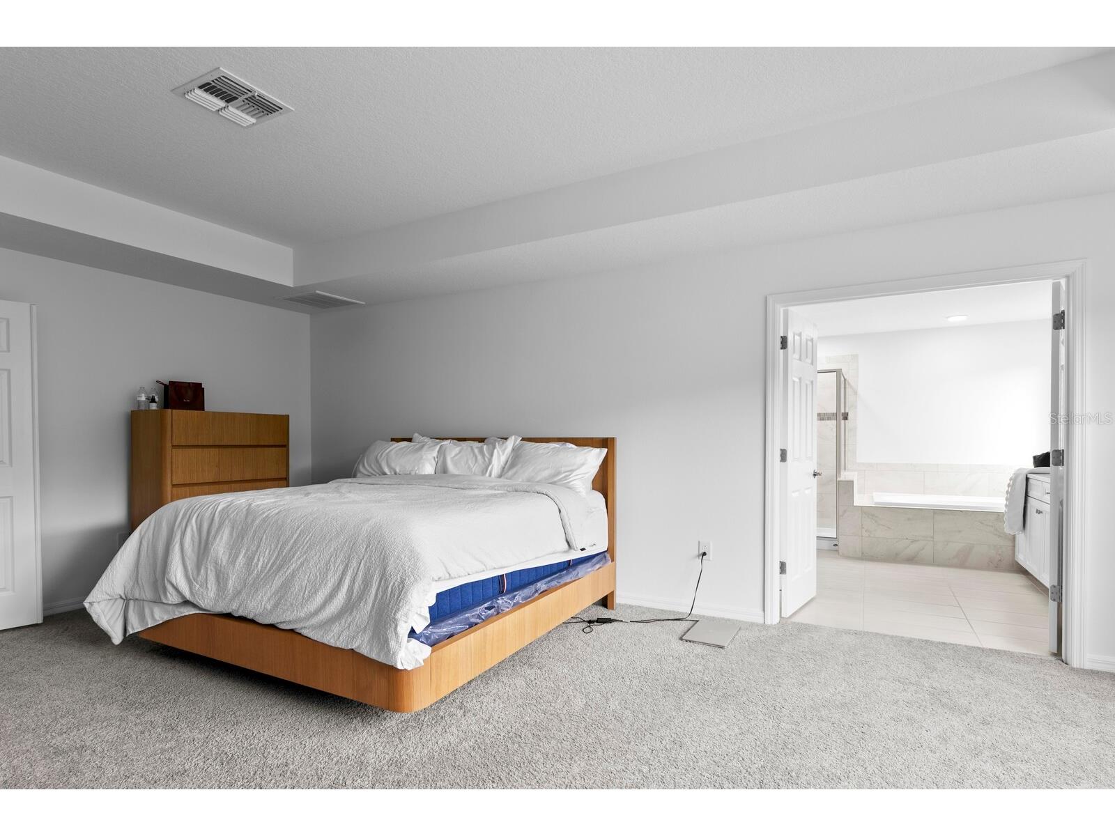 10742 New Morning Drive Tampa FL 33647 TB8524323 image24