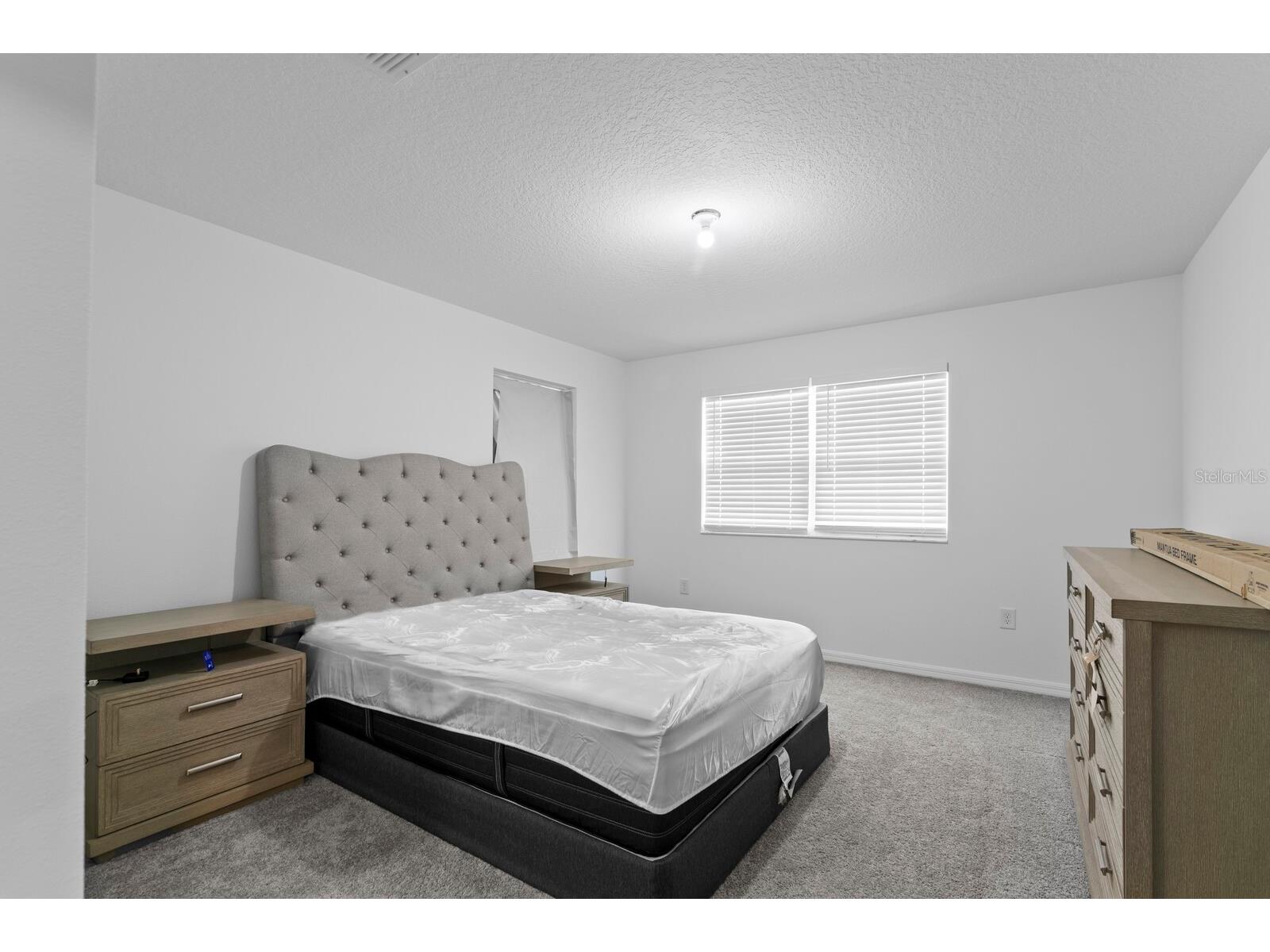 10742 New Morning Drive Tampa FL 33647 TB8524323 image30