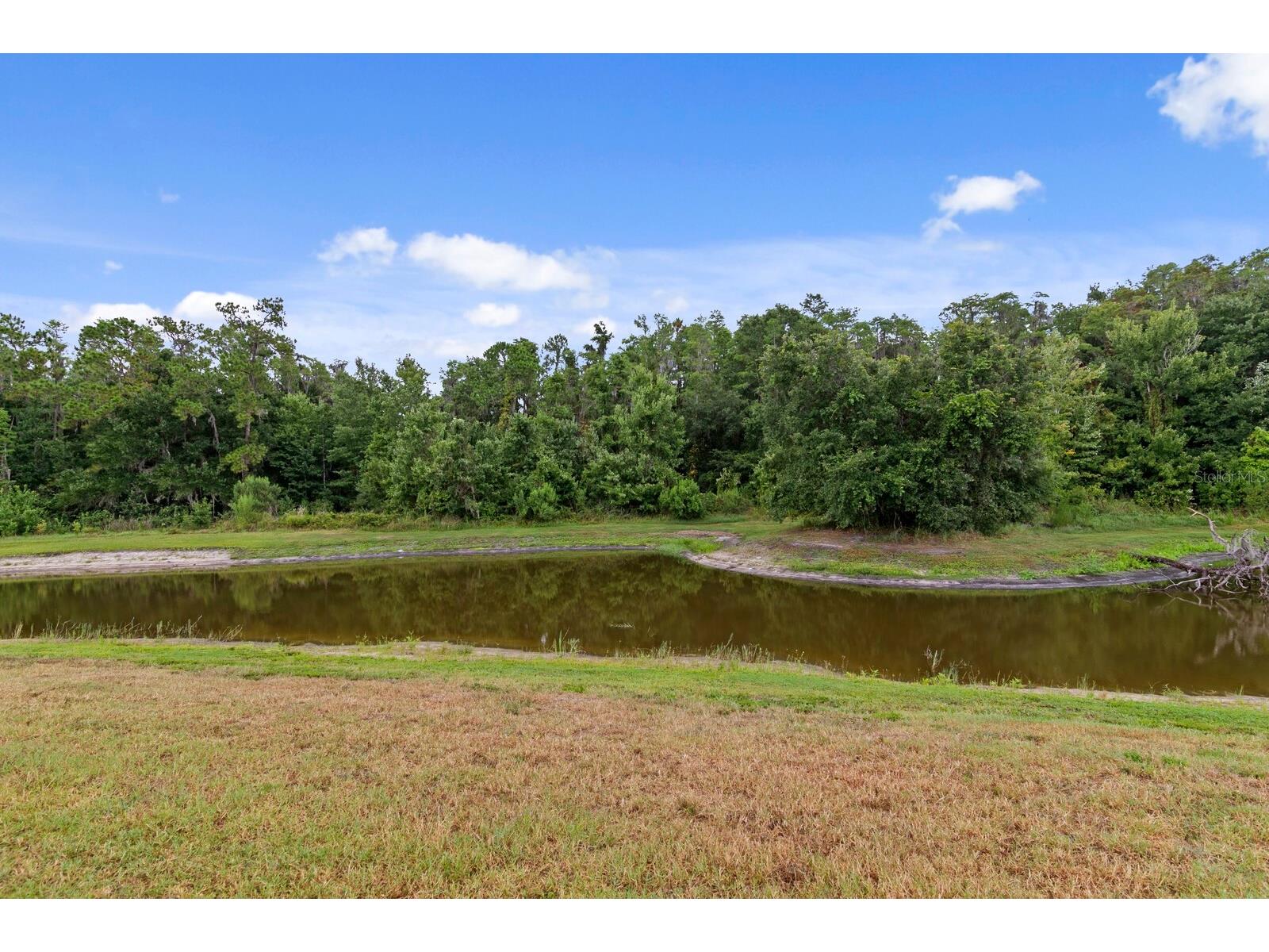 10742 New Morning Drive Tampa FL 33647 TB8524323 image34