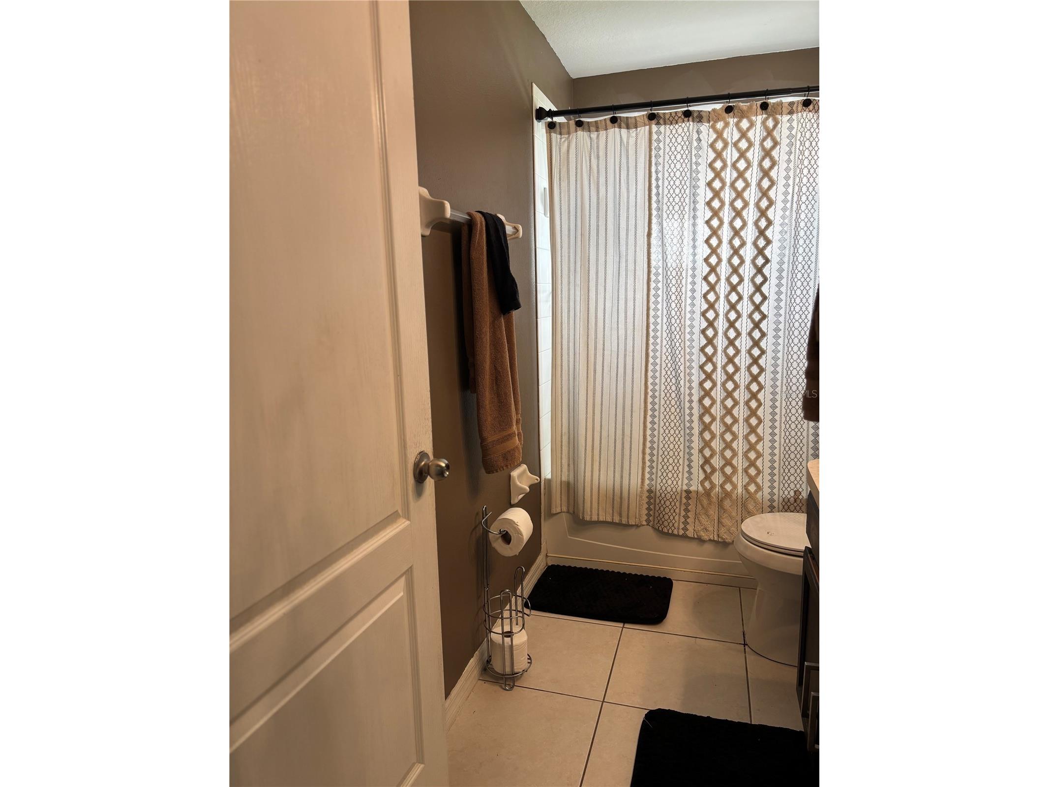 10742 Shady Preserve Drive Riverview FL 33579 TB8438310 image21