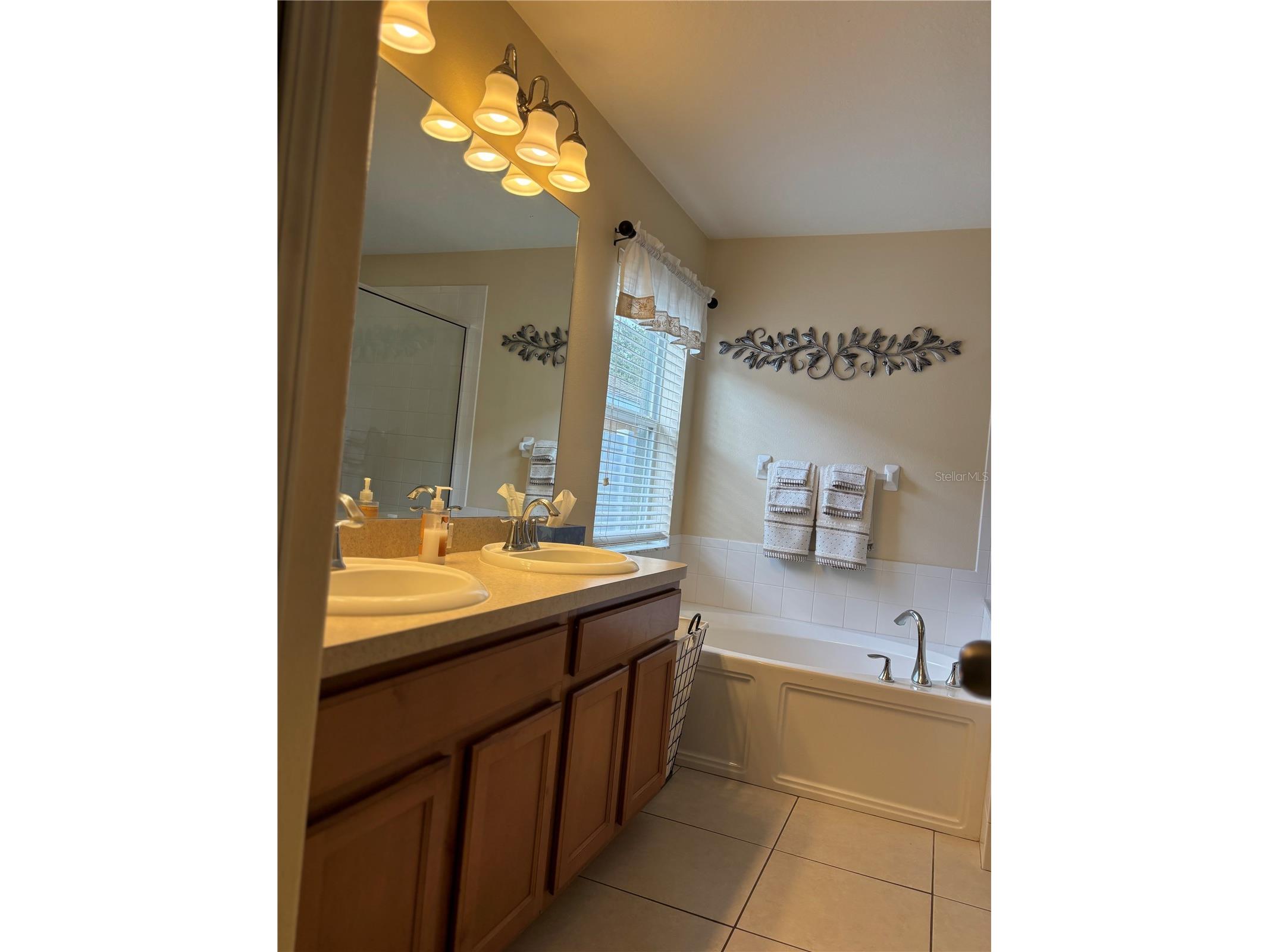 10742 Shady Preserve Drive Riverview FL 33579 TB8438310 image25