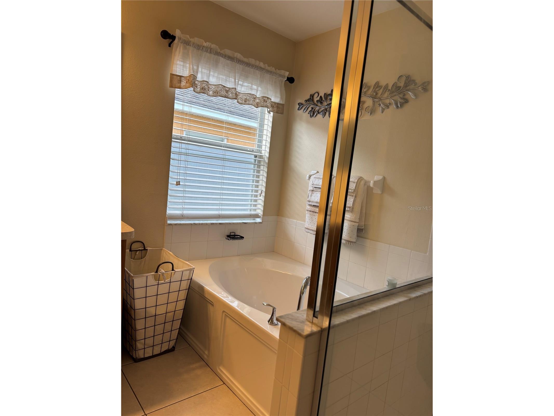 10742 Shady Preserve Drive Riverview FL 33579 TB8438310 image26