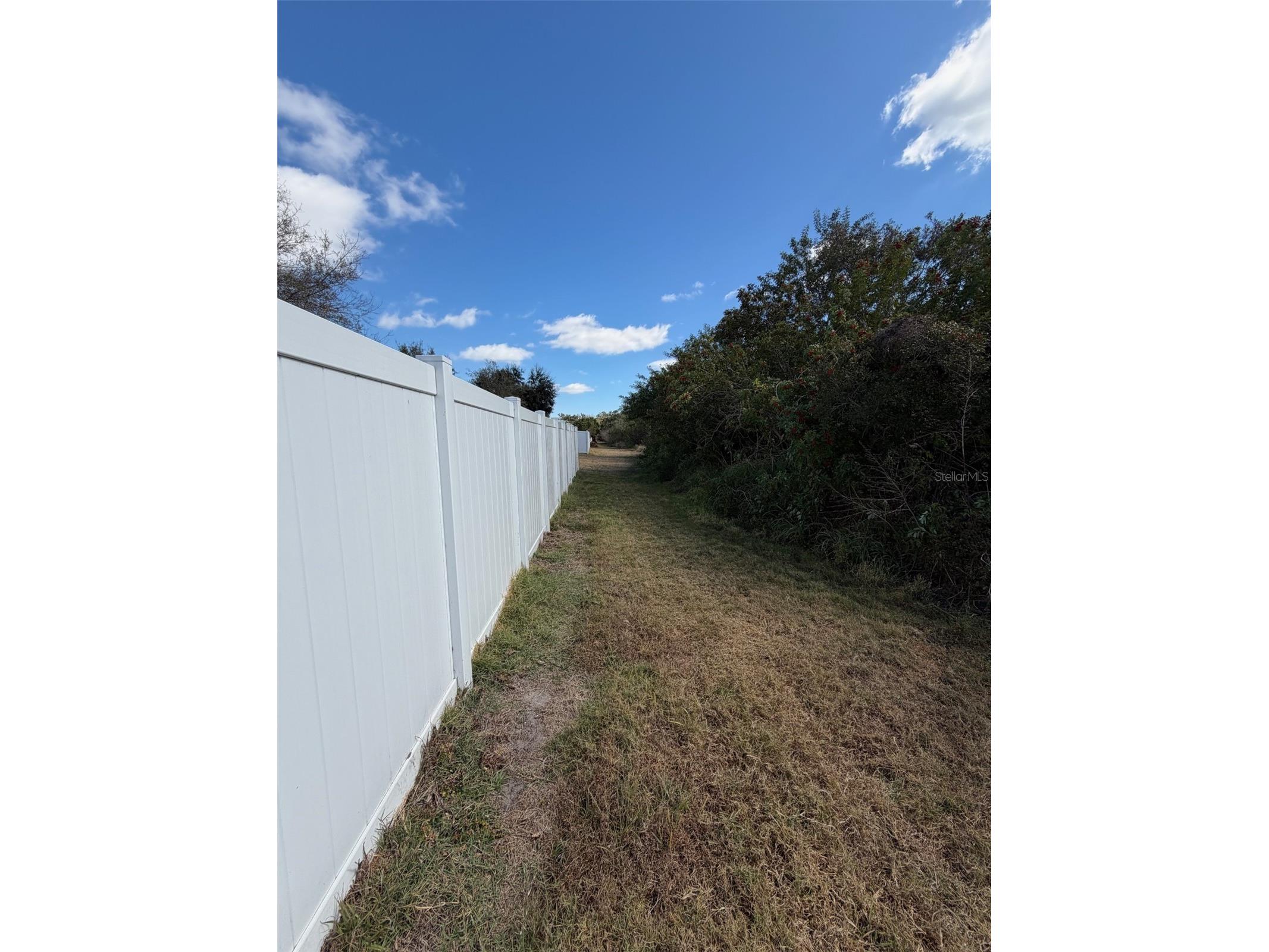 10742 Shady Preserve Drive Riverview FL 33579 TB8438310 image6