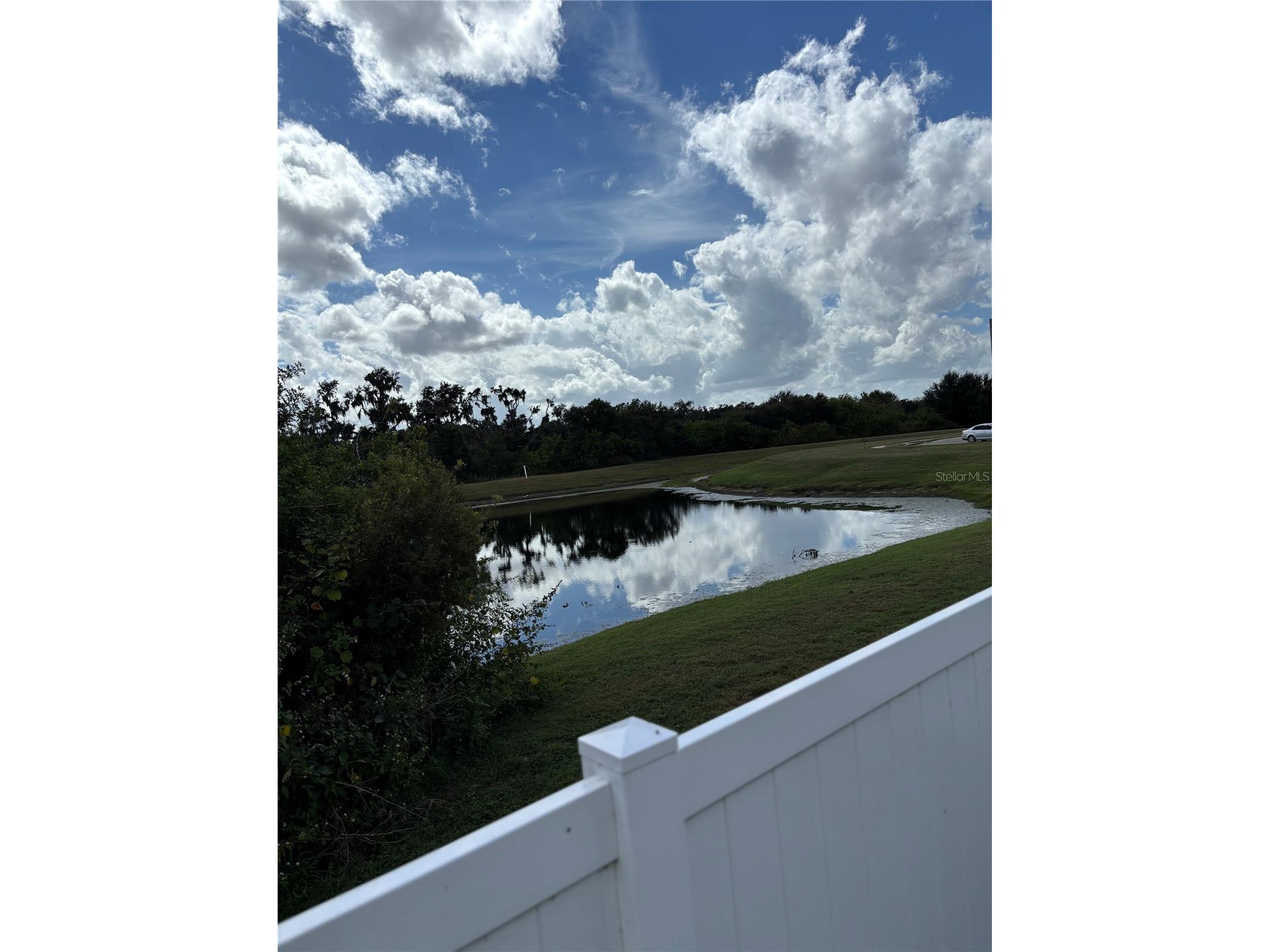 10742 Shady Preserve Drive Riverview FL 33579 TB8438310 image7