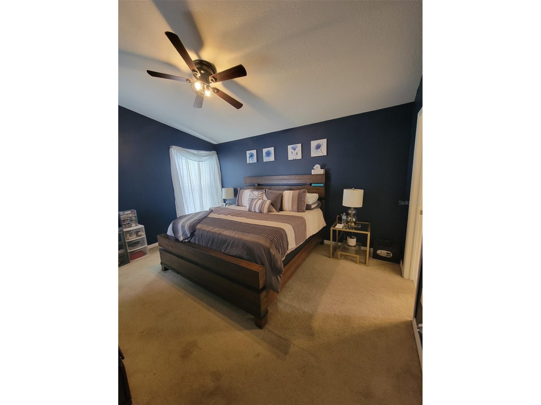 10742 Shady Preserve Drive Riverview FL 33579 TB8500873 image13
