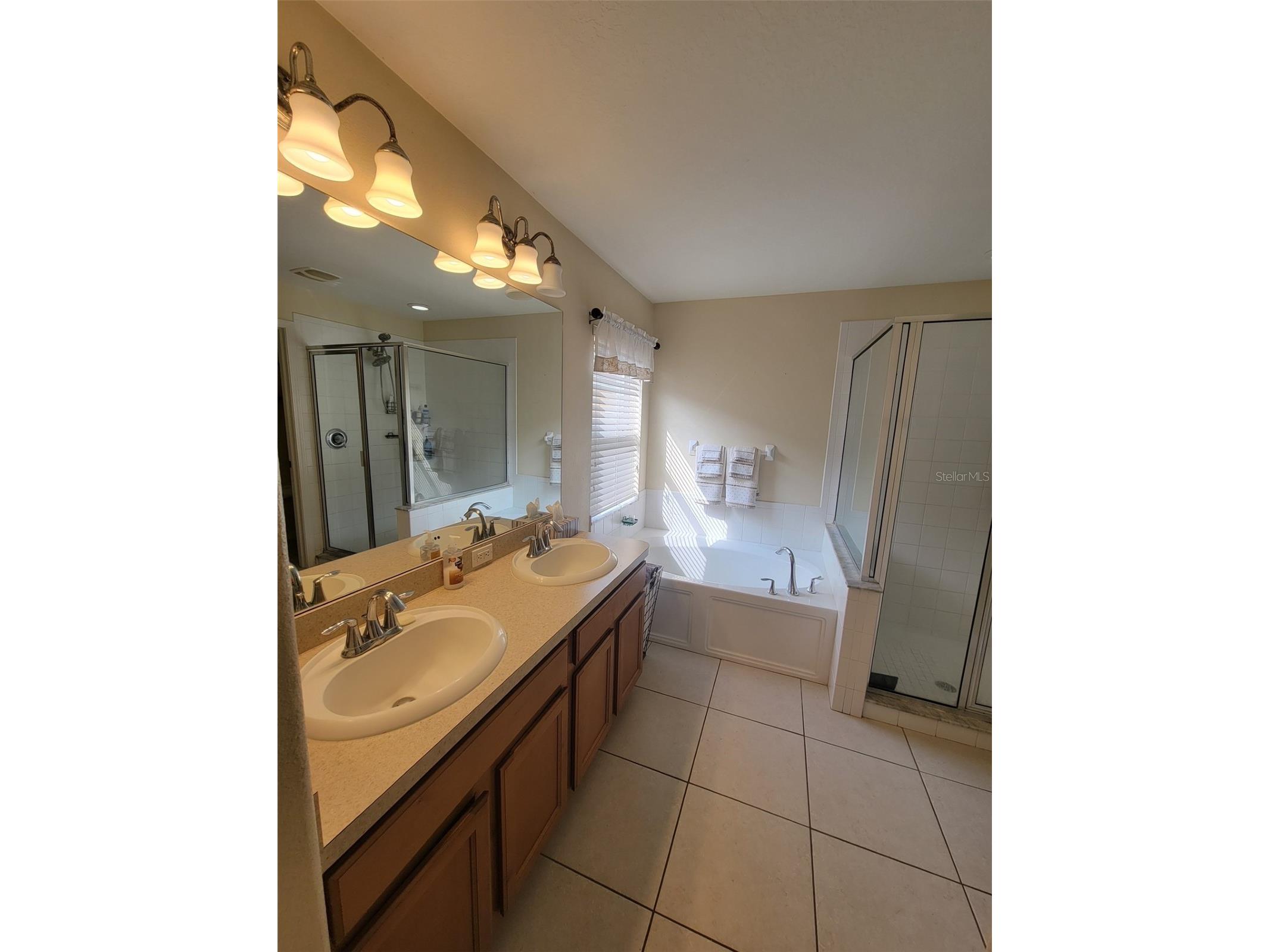 10742 Shady Preserve Drive Riverview FL 33579 TB8500873 image14