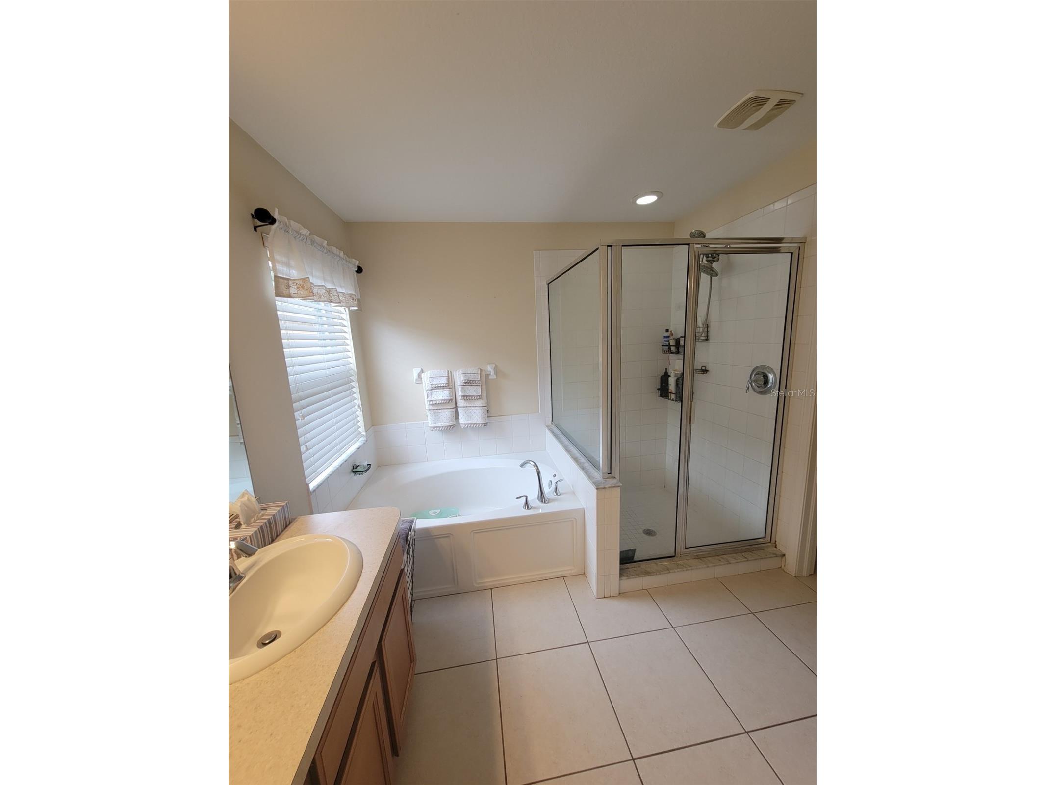 10742 Shady Preserve Drive Riverview FL 33579 TB8500873 image15