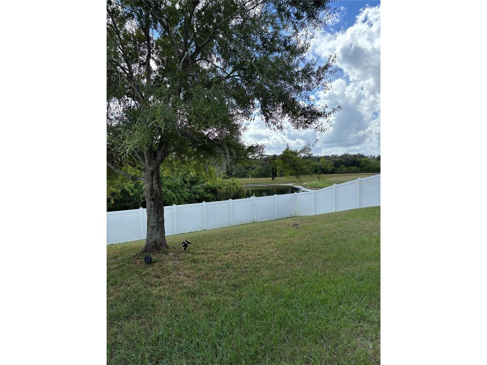 10742 Shady Preserve Drive Riverview FL 33579 TB8500873 image3