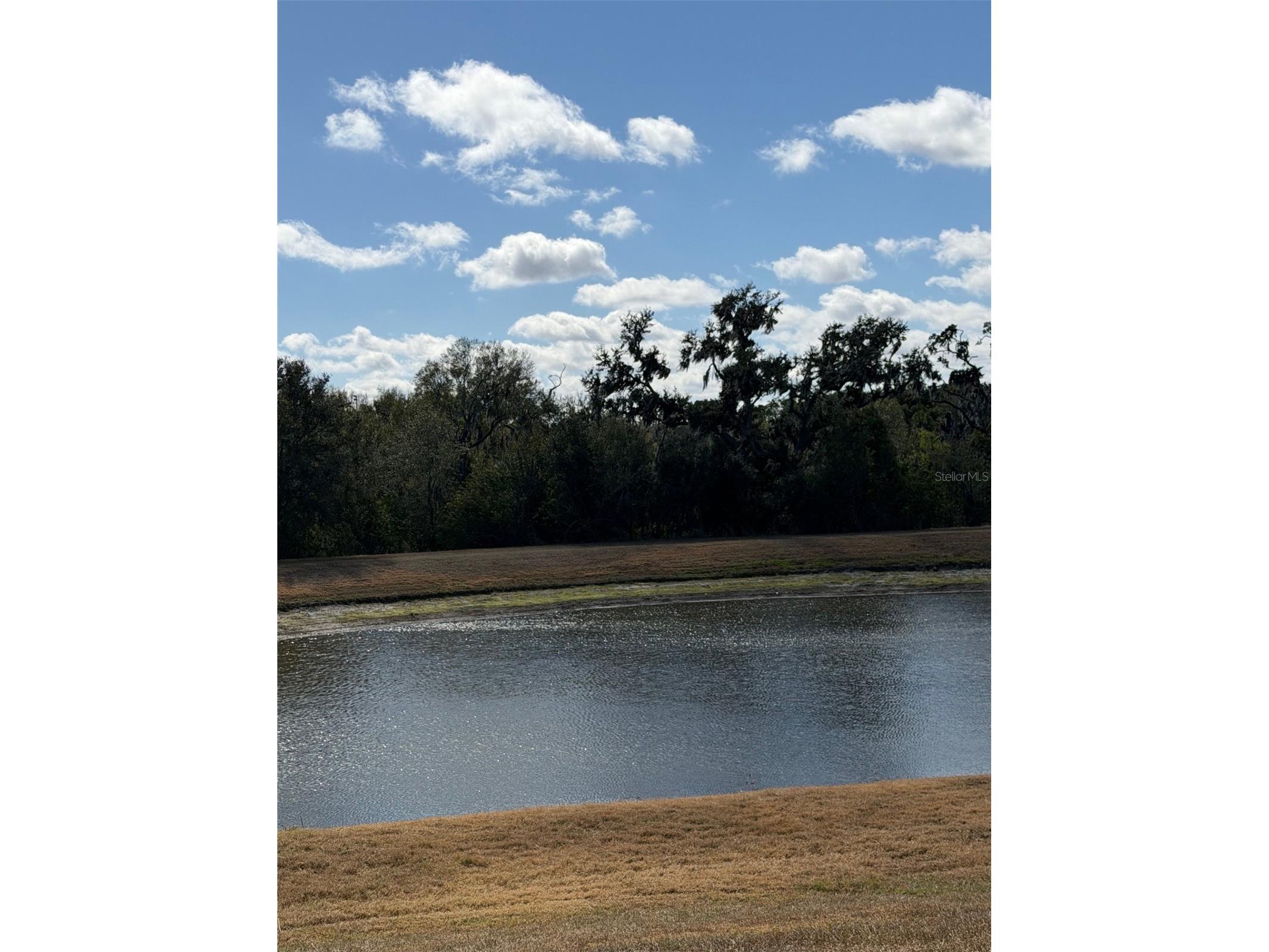 10742 Shady Preserve Drive Riverview FL 33579 TB8500873 image4