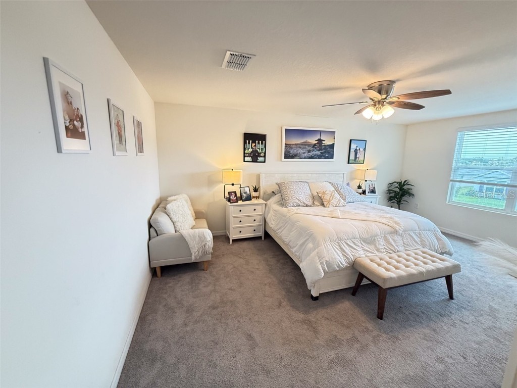 10744 Chippewa Drive Parrish FL 34219 TB8433335 image21