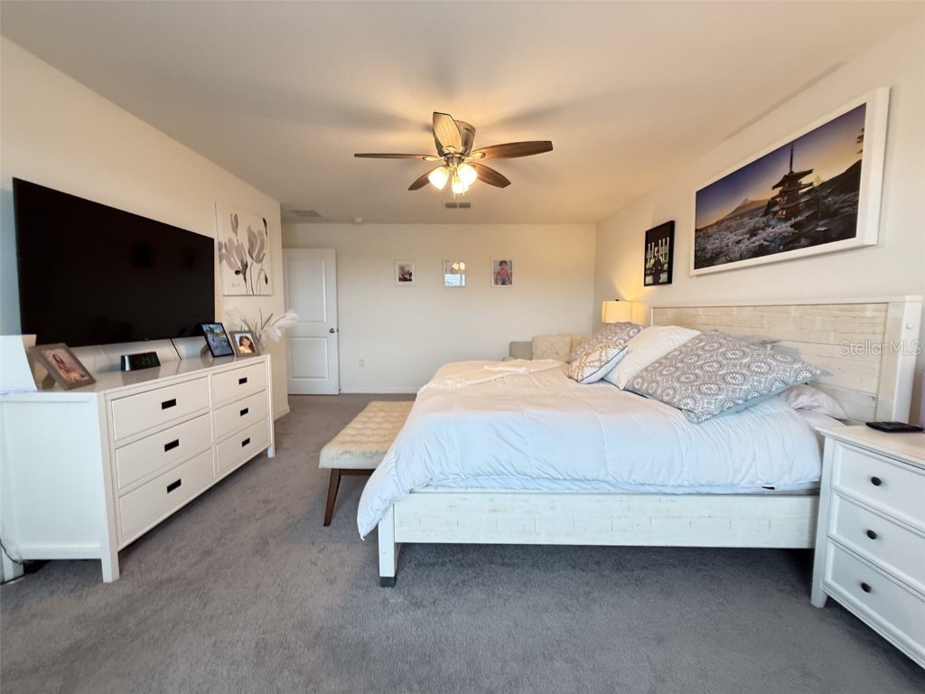 10744 Chippewa Drive Parrish FL 34219 TB8433335 image23