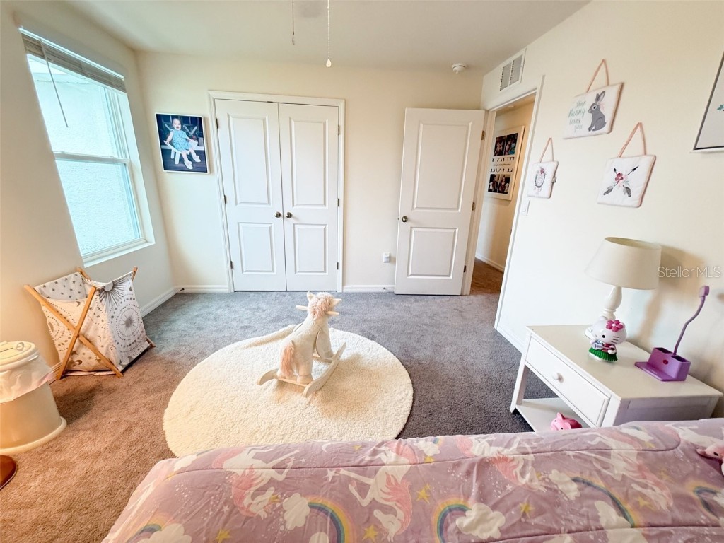 10744 Chippewa Drive Parrish FL 34219 TB8433335 image26