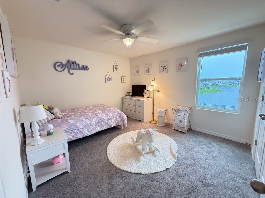 10744 Chippewa Drive Parrish FL 34219 TB8433335 image33