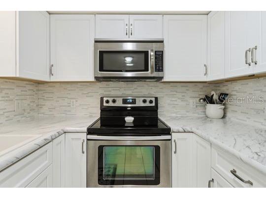 10744 W Beach Parkway Lake Wales FL 33898 - LAKE ROSALIE P4937978 image13