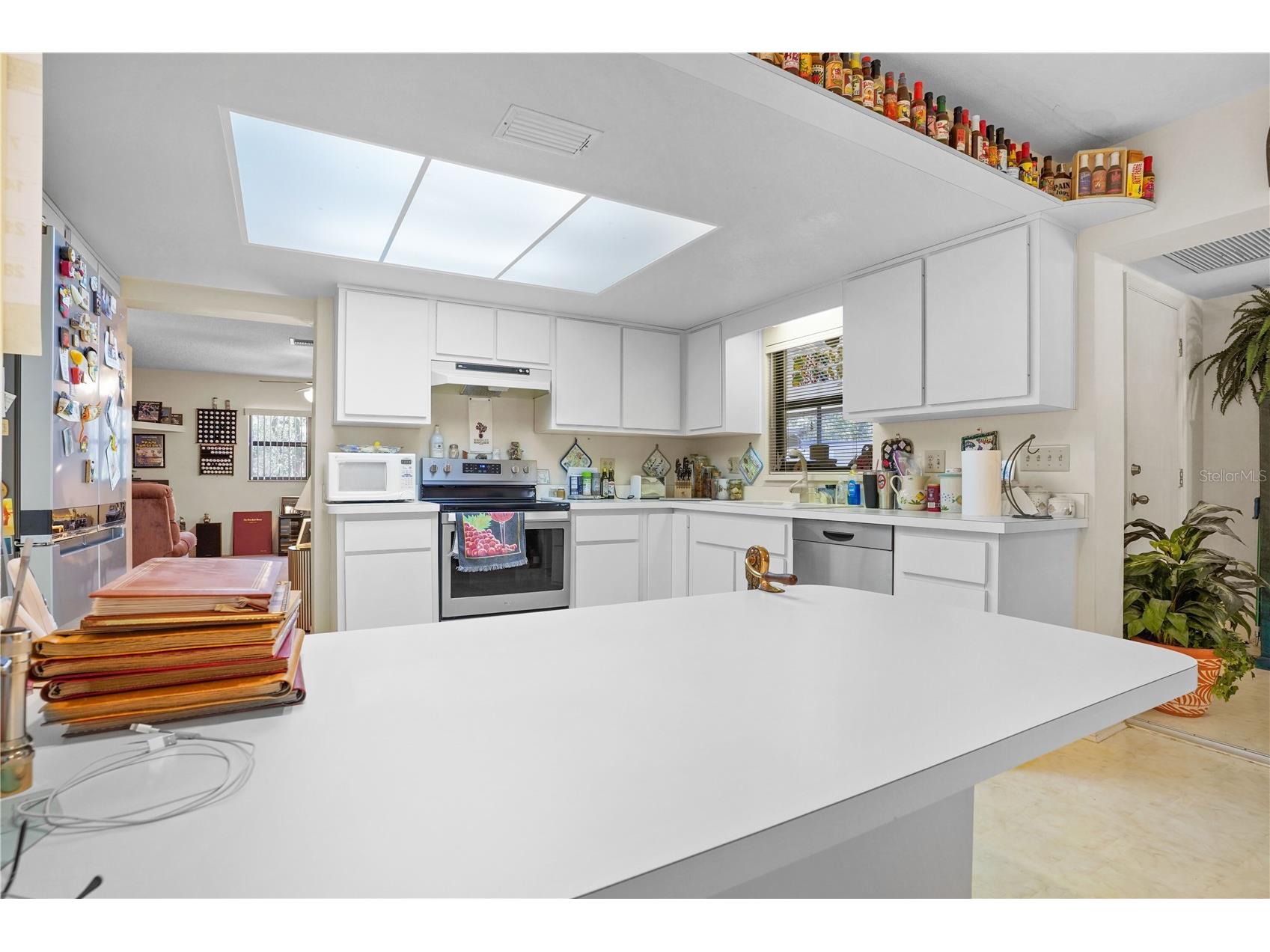 10745 SE 188th Court Ocklawaha FL 32179 O6382010 image13